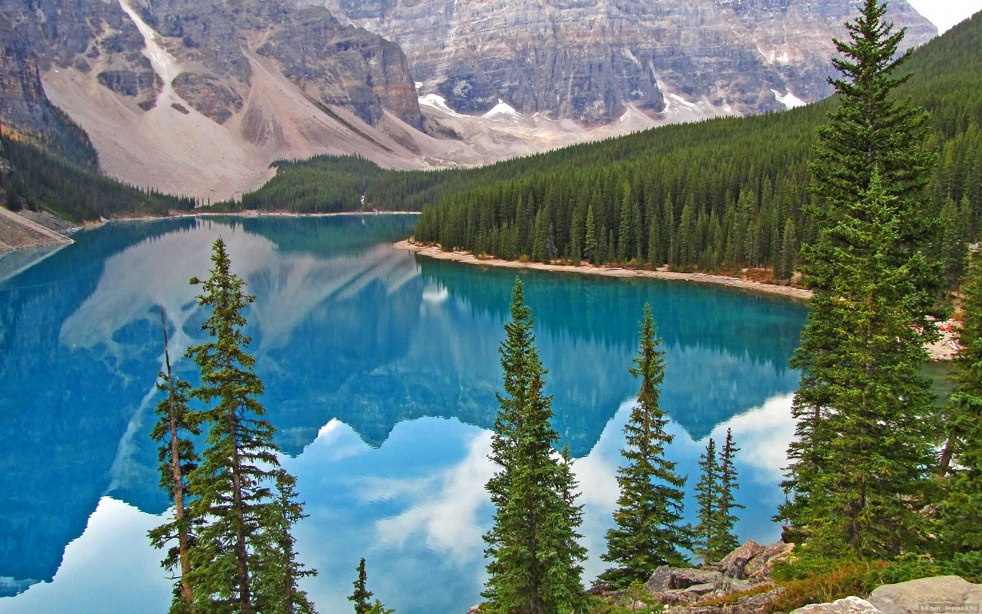 黄蜂蛰伏终亮剑，世界排名争夺战焦点战，夏洛特力擒骑士震动联盟