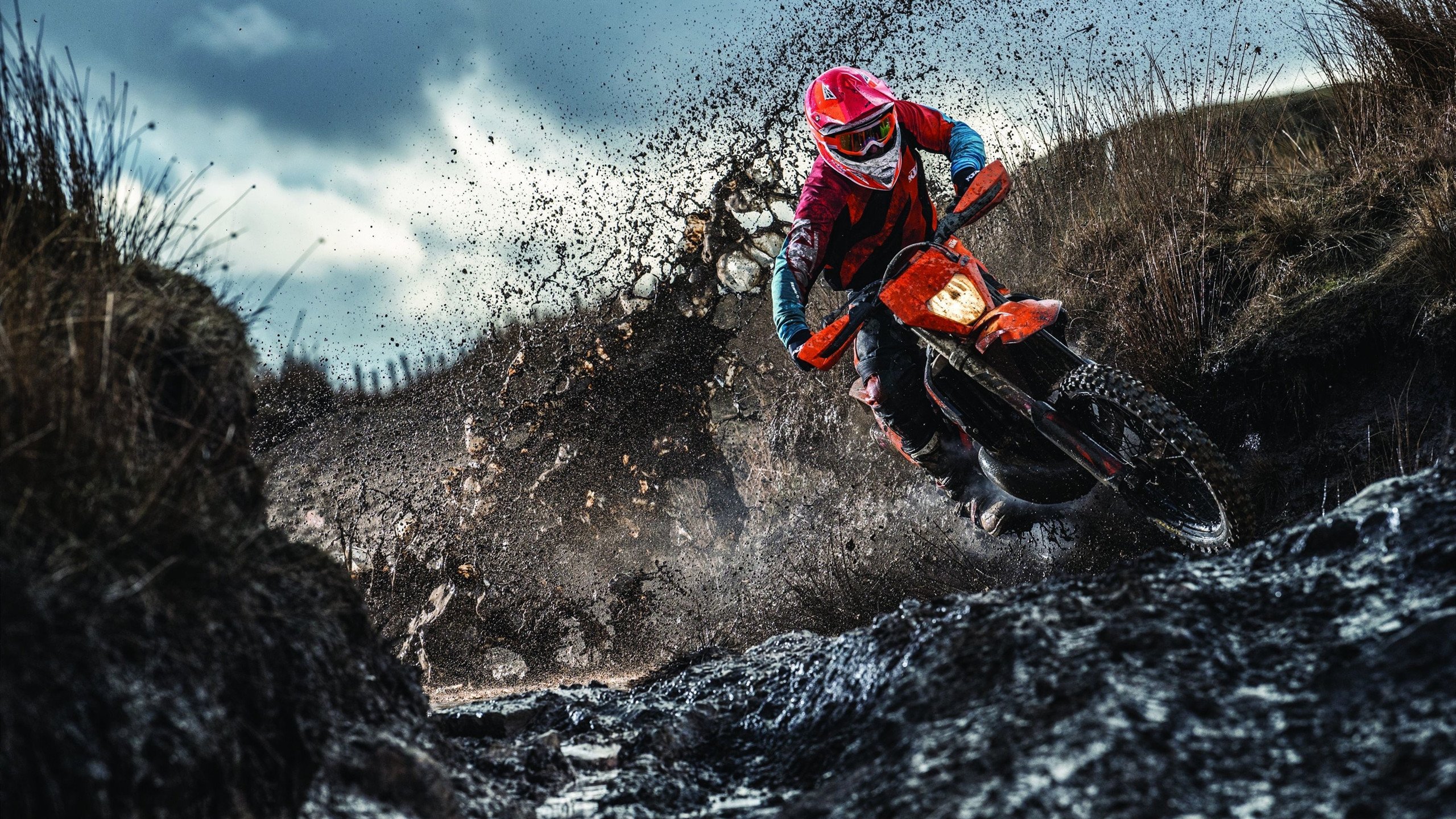 西决生死战之夜,范弗利特全场最佳无争议